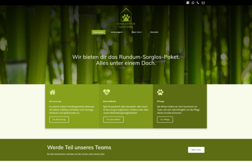 Professionelle Betreuung und Training für glückliche und gesunde Hunde. Professionelle Betreuung und Training für glückliche und gesunde Hunde.
